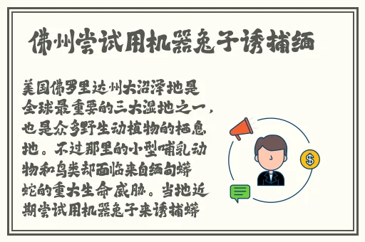 学生打扑克